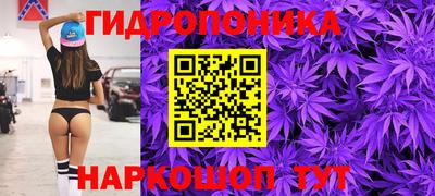 индика Волгодонск